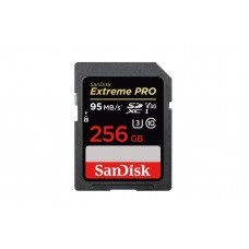 Карта памяти SanDisk Extreme Pro SDXC UHS Class 3 V30 95MB/s 256GB (SDSDXXG-256G-GN4IN)