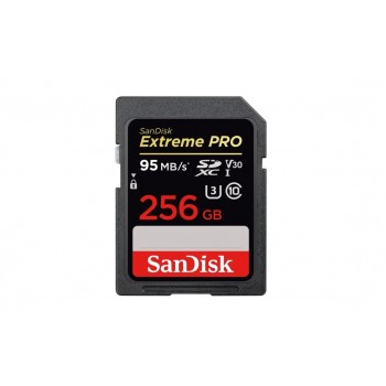 Карта памяти SanDisk Extreme Pro SDXC UHS Class 3 V30 95MB/s 256GB (SDSDXXG-256G-GN4IN)